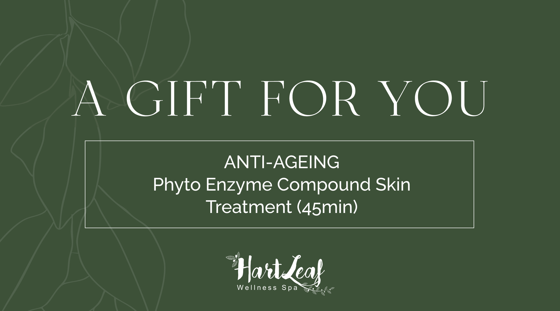 ANTI-AGEING – Phyto Enzyme Compound Skin Treatment (45min)