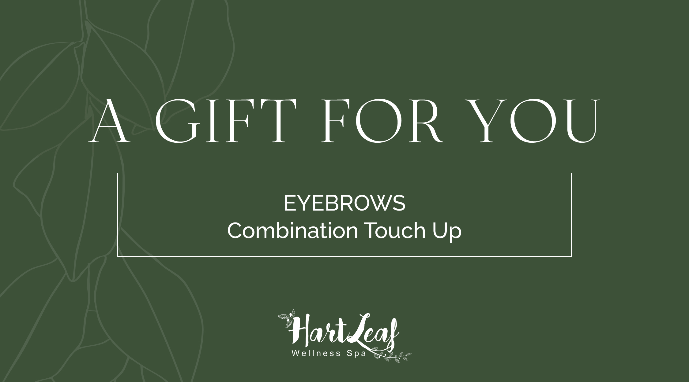 EYEBROWS – Combination Touch Up