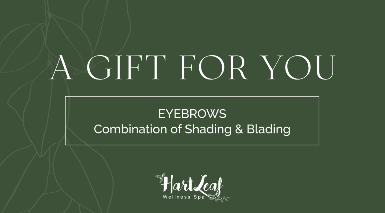 EYEBROWS – Combination of Shading & Blading