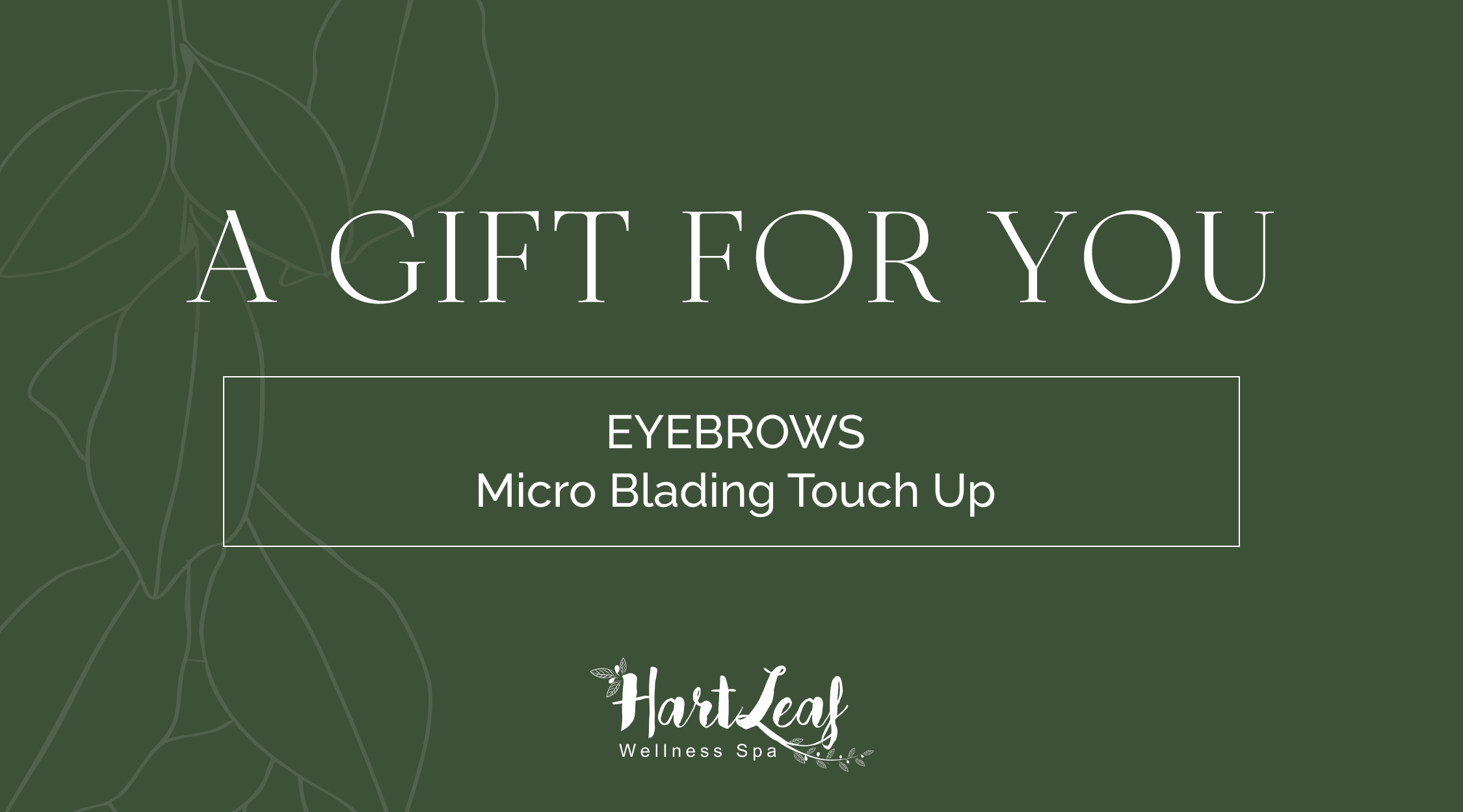 EYEBROWS – Micro Blading Touch Up