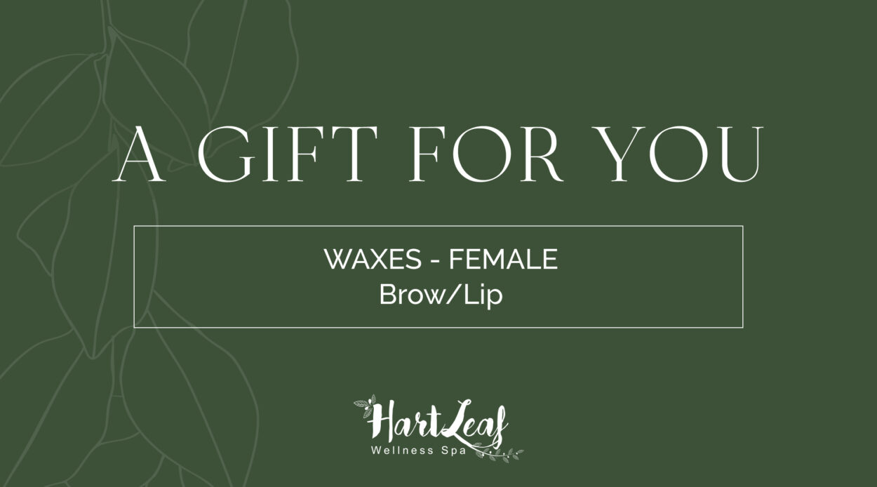 WAXES - FEMALE – Brow/Lip