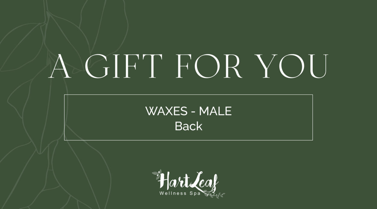 WAXES - Male – Back