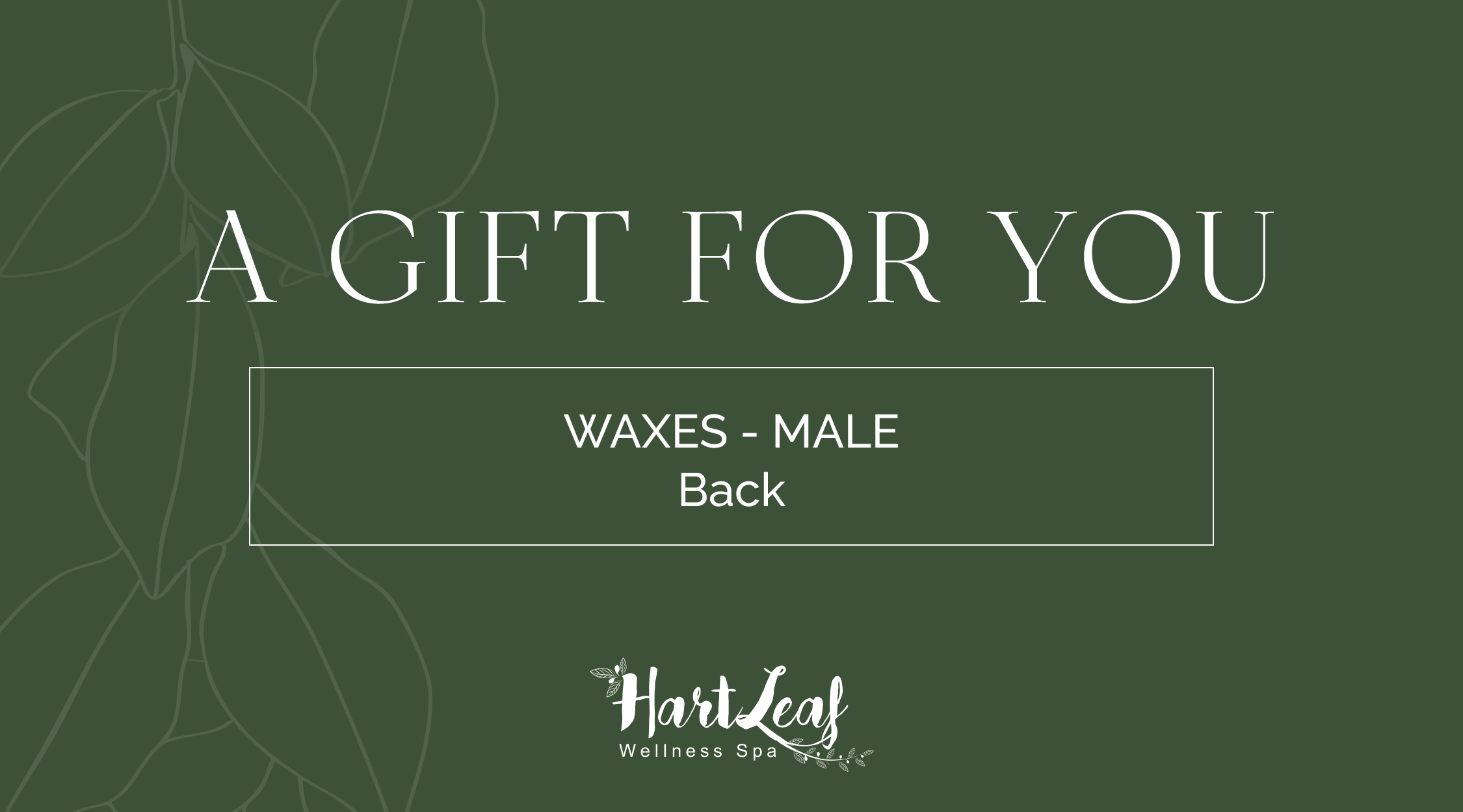WAXES - Male – Back